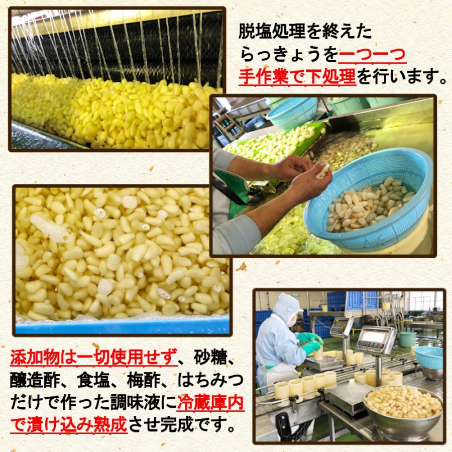 国産らっきょう漬け お試しセット 190g×2種 (甘酢漬け＆ピリ辛）無添加  低温熟成 送料無料 鳥取砂丘 ラッキョウ