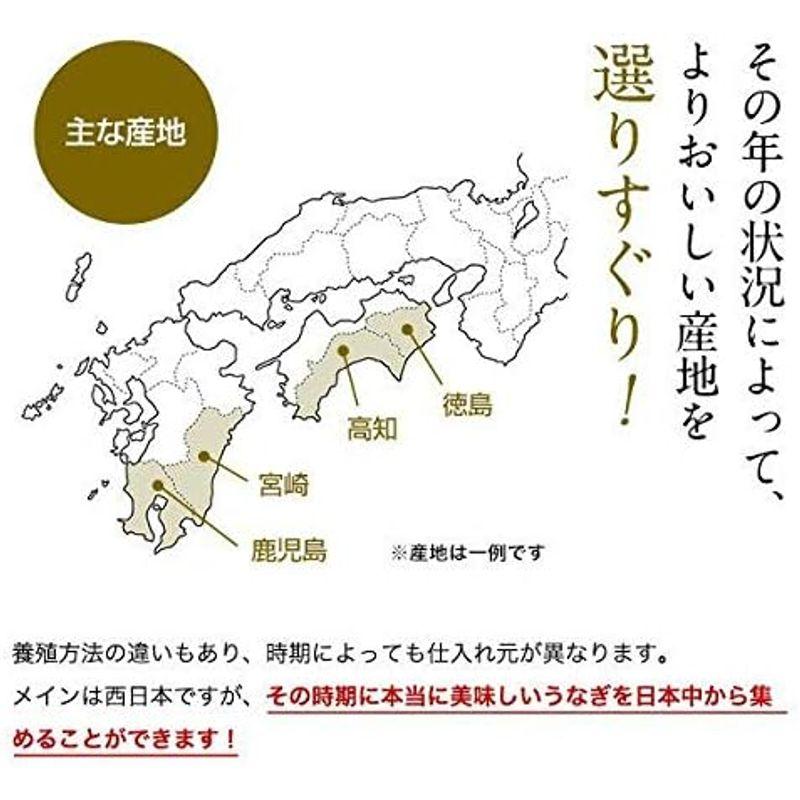 うなぎ屋かわすい 特大国産 うなぎ の蒲焼き（170g）5尾セット（タレ付き 山椒別売り) 川口水産