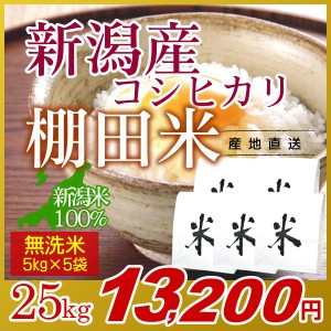 お米 25kg 無洗米 棚田米 新潟産コシヒカリ (5kg×5袋) 令和5年産 新米   米 高級銘柄米 新潟米 ブランド米 新潟 新潟県産 国内産 人気