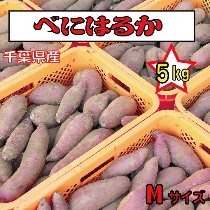 さつまいも 千葉県産 べにはるか 約5kg Mサイズ土付き