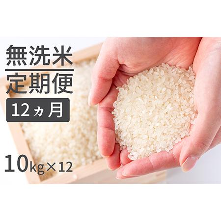 ふるさと納税 1粒からこだわる1等級米 ヒノヒカリ 無洗米(10kg×12回） 福岡県小郡市