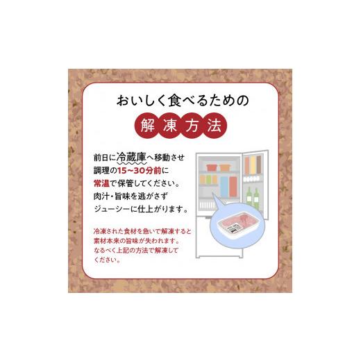 ふるさと納税 宮崎県 延岡市 宮崎牛 ロース ステーキ 250g×2 計500g　N0147-ZB117