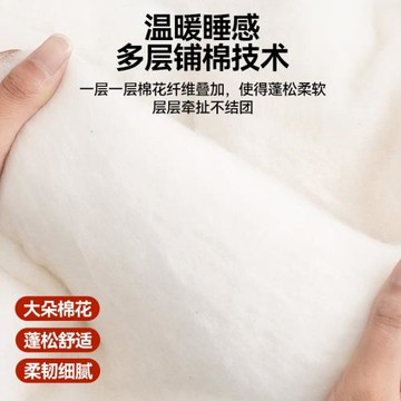 新疆純棉花被冬季被子被芯冬被加厚保暖宿舍春秋棉被棉絮四季通用