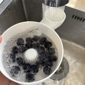 Automatic vegetable and fruit washer自動蔬菜和水果清洗器清潔