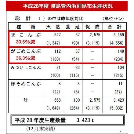 真昆布 道南産促成長切2等 500g 〜 北海道水産物検査協会検査物 〜