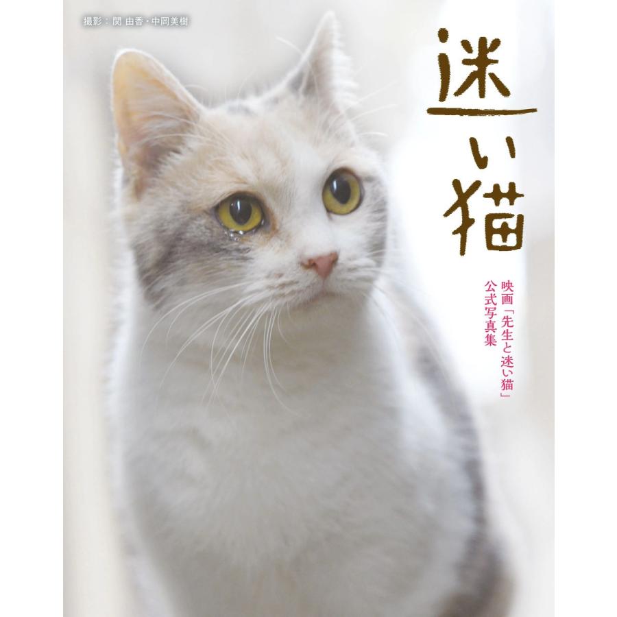 迷い猫 電子書籍版 関由香 中岡美樹