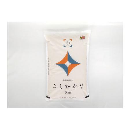 ふるさと納税 518.弥栄町産特別栽培米「秘境奥島根弥栄」こしひかり5kg（6回コース） 島根県浜田市