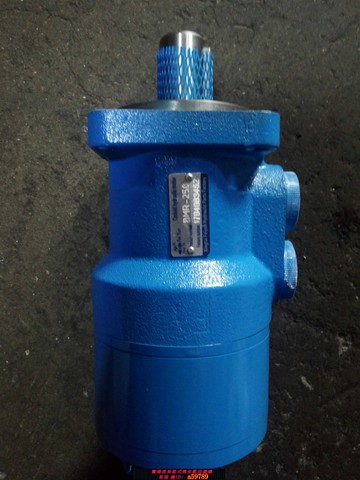 【台灣公司 可打統編】液壓馬達 BMR-50 80 100 125 160 400 兩孔 四孔油壓擺線馬達