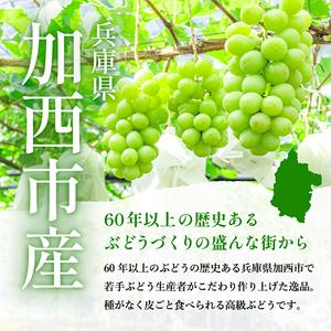 ふるさと納税 兵庫県産 シャインマスカット 2房セット（約1.2〜1.5kg）種無し 皮ごと 大粒 農家直送 数量限定 兵庫県加西市