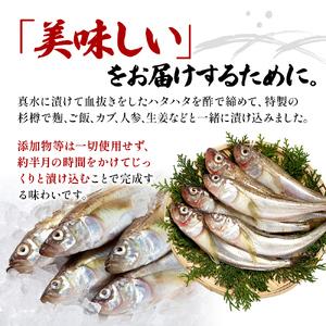 ふるさと納税 秋田県特産 はたはた 切り寿し 500g 秋田県男鹿市