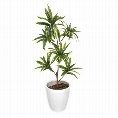 申込期間08月01日13時まで_ササガワ 人工観葉植物ソングオブインディアＭサイズ_取寄商品