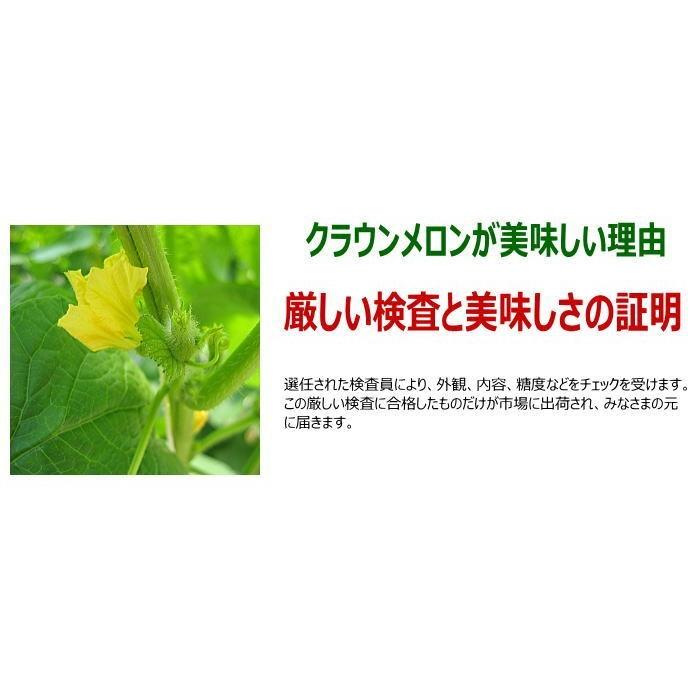 静岡県産　クラウンメロン1玉　約1.2〜1.3kg