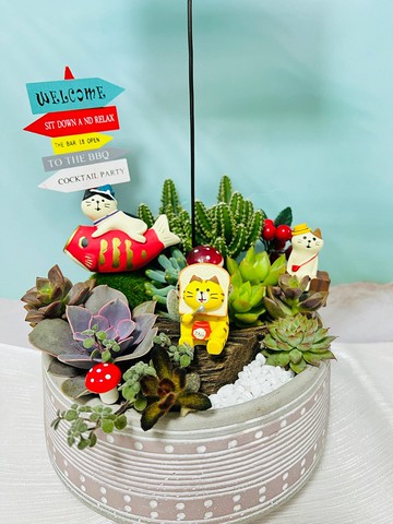 歡樂貓咪客製組盆 開幕 新居落成 升官喬遷 婚禮 生日 交換禮物