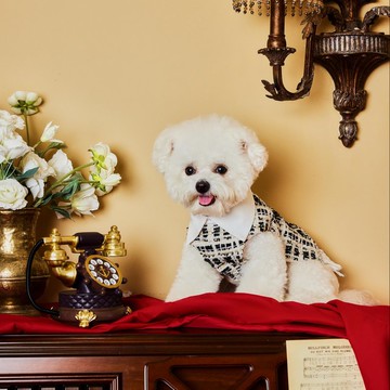 鍍金時代‧碎金狂想曲