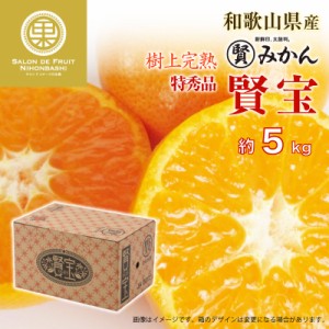 [予約 12月1日-12月20日の納品] 賢宝みかん マル賢みかん 約5kg SML 特秀 樹上完熟 和歌山県 けんぽう 高品位 冬ギフト お歳暮 御歳暮