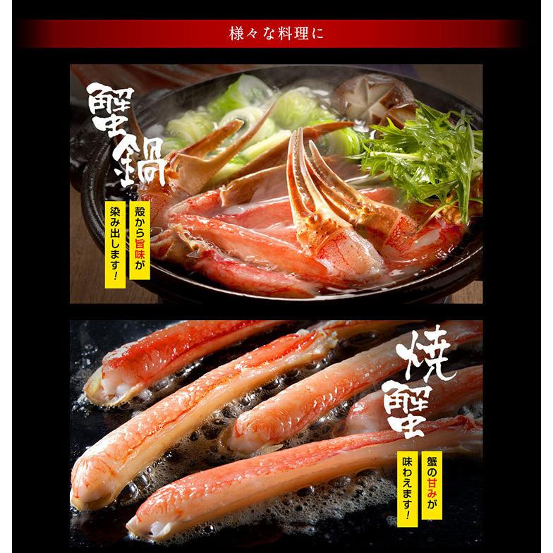 カニ かに 蟹 ズワイガニ 本ずわい足 総重量2.5kg 脚8〜12肩 正味2kg 5〜7人前 L〜2Lサイズ 焼き蟹 かに鍋 魚介類 海産物