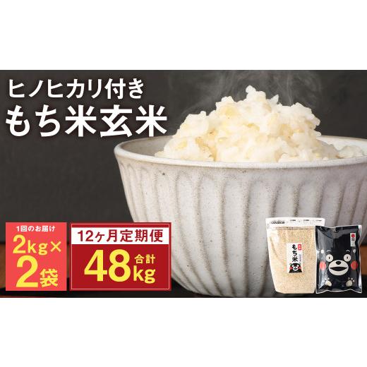 ふるさと納税 熊本県 菊池市  熊本県 菊池産 もち米 玄米 2kg×2袋 白米 300g 計51.6kg ヒヨクモチ