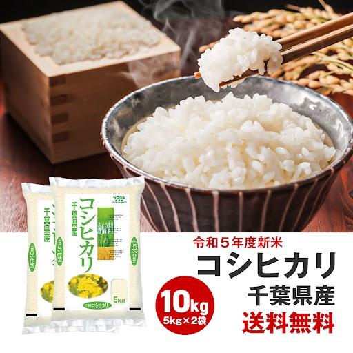 令和5年度 新米 お米 10kg コシヒカリ 米 5kg 2袋セット 令和5年度 新米 白米 千葉 国産 日本産 10キロ