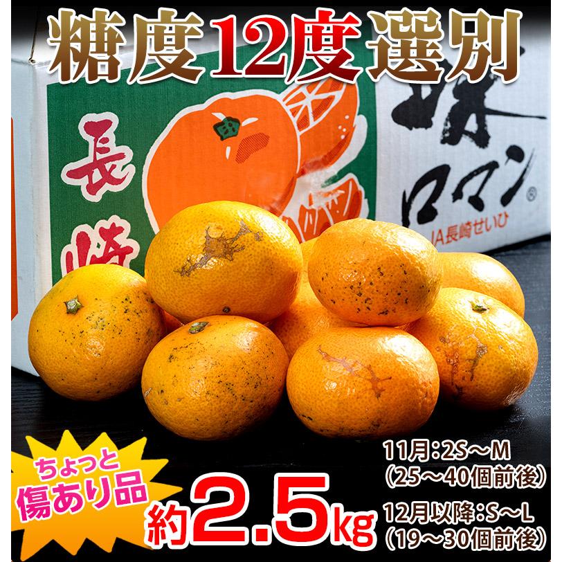 みかん 味ロマン 糖度12度選別 JA長崎せいひ 約2.5kg 外皮に傷あり (11月出荷：2S-M、12月出荷：S-L) ※常温　送料無料 長崎県 ご自宅用 訳あり