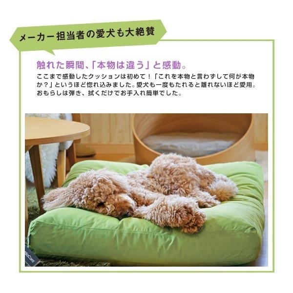 犬ベッド MiaCara （ミアカラ） ドッグクッション ルビオ Sサイズ 小型