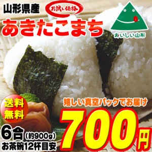 新米 米 お米 ポイント消化 あきたこまち 900g (6合) 玄米 令和5年度産 山形県産 送料無料 メール便 ゆうパケ