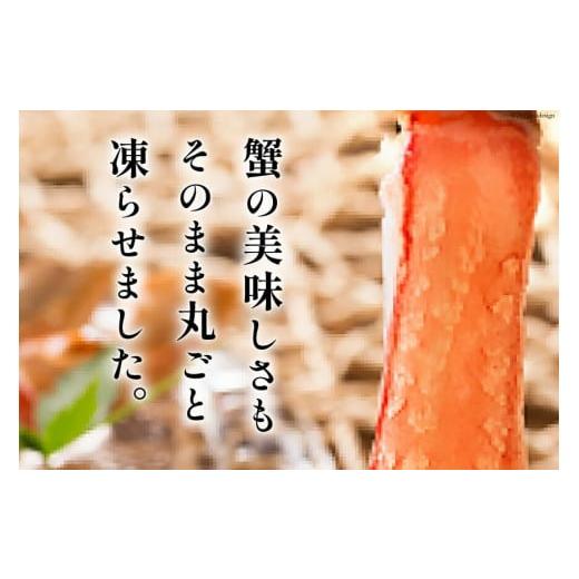 ふるさと納税 宮城県 気仙沼市 極太 生本ずわいがに 棒肉ポーション 約500g 15本〜20本入り 殻剥き不要 脚肉のみ [カネダイ 宮城県 気仙沼市 20562794] カ…