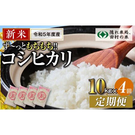 ふるさと納税 ＼新米／定期便4回 田村産 コシヒカリ10kg お米 福島県 田村市 田村 贈答 美味しい 米 kome コメご飯  特Aランク  一.. 福島県田村市