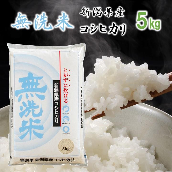 新米 令和5年産 米 5kg 無洗米 新潟県産コシヒカリ 新潟県産 お米 5キロ 白米 こしひかり お歳暮 ギフト プレゼント