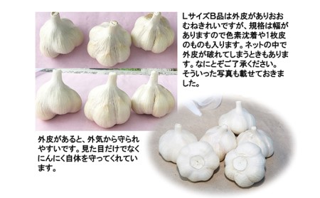 青森県田子産にんにくLサイズB品　約1kg