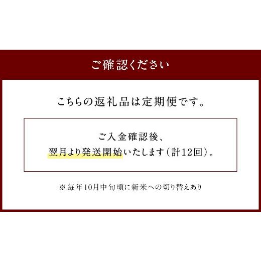 ふるさと納税 熊本県 相良村 十島米 5kg×12回 計60kg ヒノヒカリ 精米