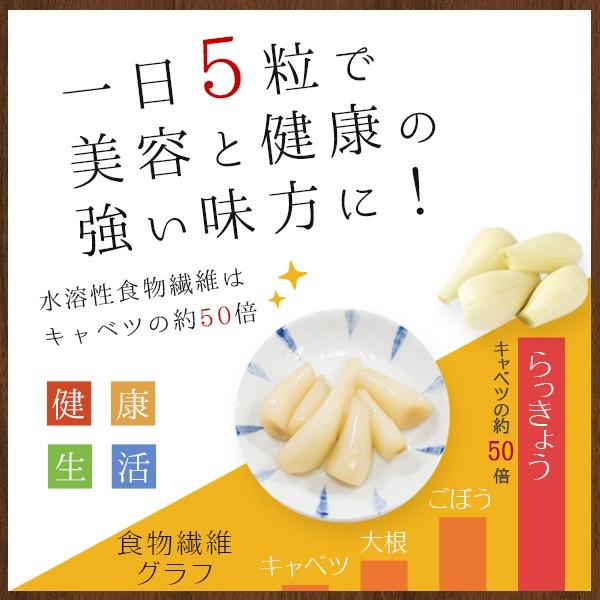 砂丘らっきょう漬け 鳥取県福部町産 ギフト向け樽箱入800g 無添加 国産 送料無料（北海道・沖縄を除く）