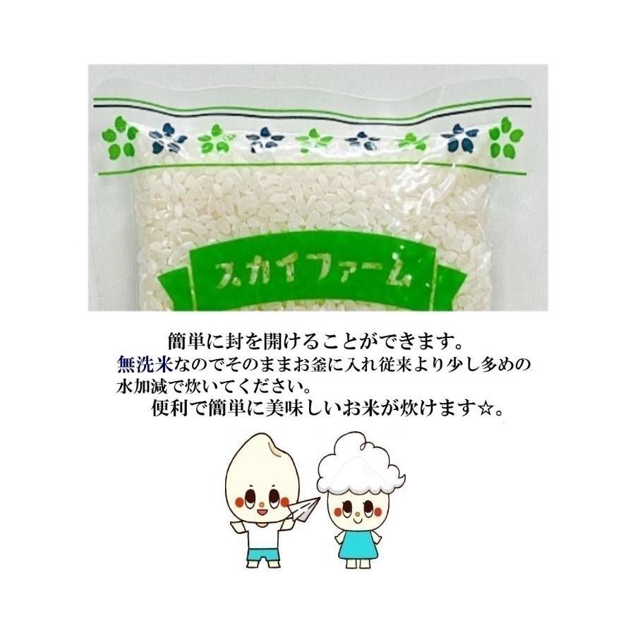 新米 お米 無洗米 送料無料 令和5年産 岡山県産あきたこまち 無洗米 300g(2合)×3袋 900g メール便 白米 精米 国産 ポイント消化  お試し 食品 安い 1kg以下