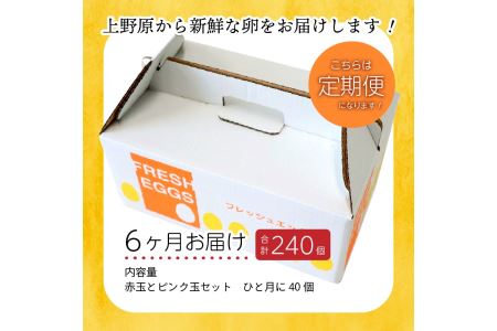 安藤鶏卵のこだわり卵 40個 美味しい卵 高級卵 濃厚鶏卵 生卵 赤玉卵 ピンク玉卵