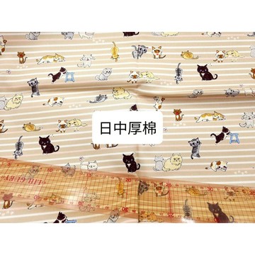 條紋貓咪米色 出清布料 台布日布厚棉布A2147