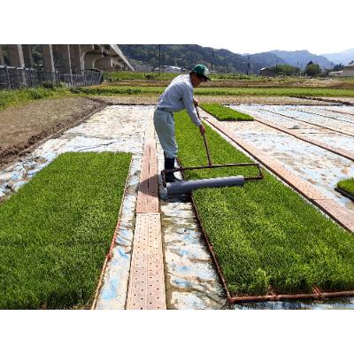 ふるさと納税 糸魚川市 新潟県産 糸魚川産 令和5年産 コシヒカリ 100% 精米 30kg