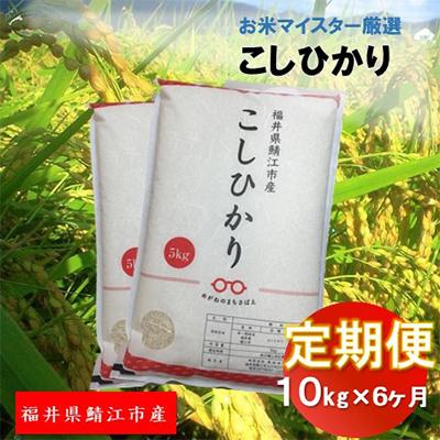 ふるさと納税 鯖江市 鯖江市産　こしひかり　10kg全6回