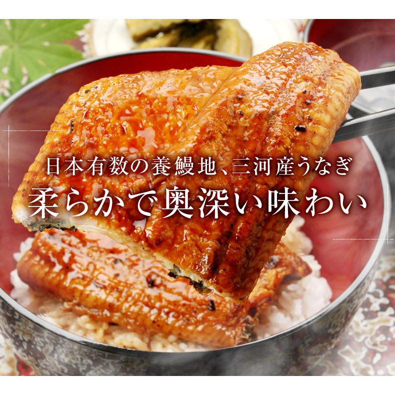 うなぎ 蒲焼き 国産 愛知県三河一色産 うなぎ蒲焼 プレゼント お歳暮 2023 ギフト  長焼き 140g×2尾セット