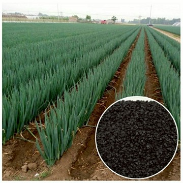 現貨 四季 小香蔥 （100粒）四季種植 春夏秋季陽臺種植大田盆栽種植蔬菜小香蔥種籽 高產 盆栽庭院