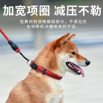 狗狗牽引繩狗繩子遛狗脖圈泰迪金毛寵物大型中型小型犬狗鏈p繩