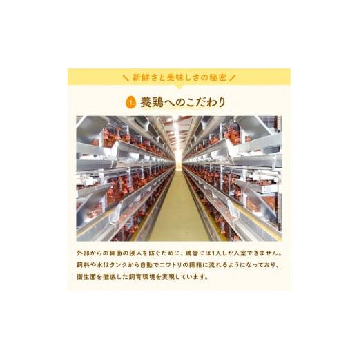 ふるさと納税 茨城県 行方市 U-6 ◆12ヵ月定期便◆ 黄身がしっかり濃厚な卵50個×12