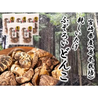 ふるさと納税 宮崎県産 原木栽培 乾しいたけ ふぞろい どんこ(55ｇ×5袋)計275g [本吉 宮崎県 日向市 452060109] 宮崎県日向市