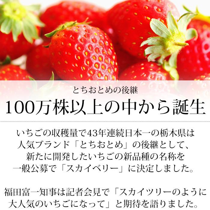 いちご 栃木県産 スカイベリー G 2パック（約280g 1パック）