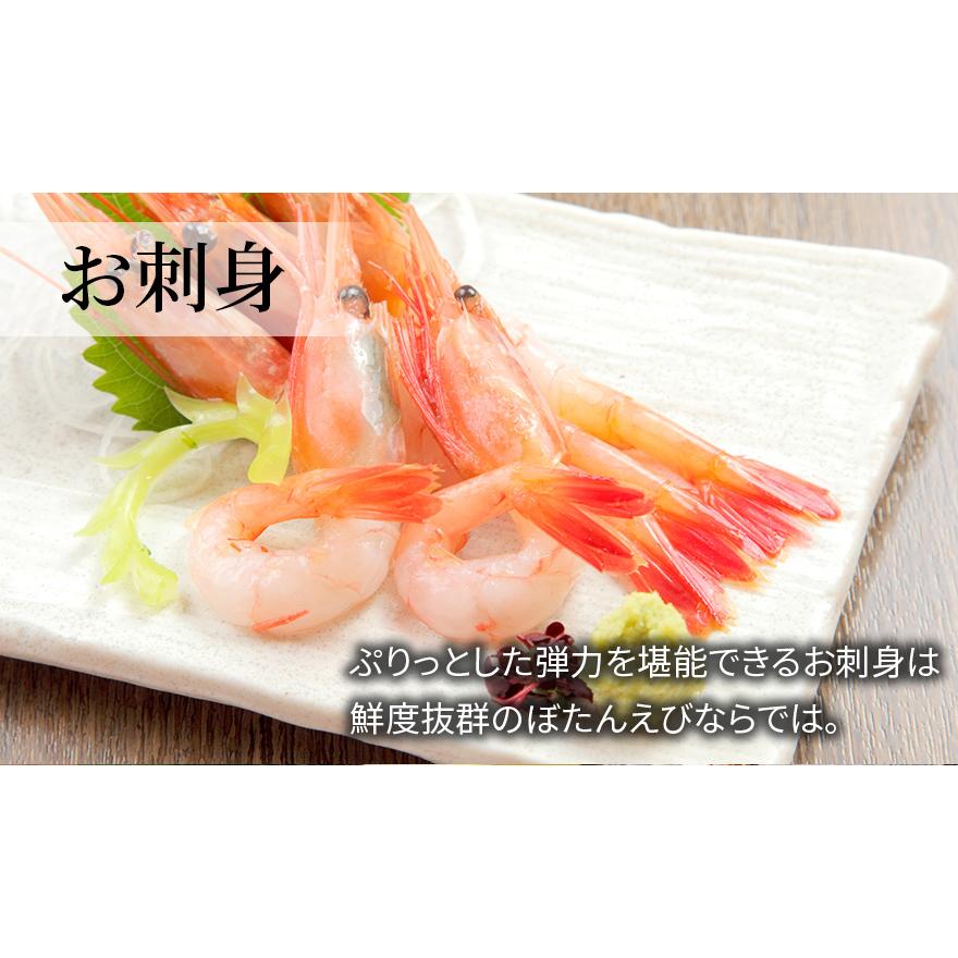 ぼたんえび 海鮮 ギフト 大13〜16匹 500g 冷凍 川村鮮魚店 エビ ボタンエビ   2023 プレゼント ギフト