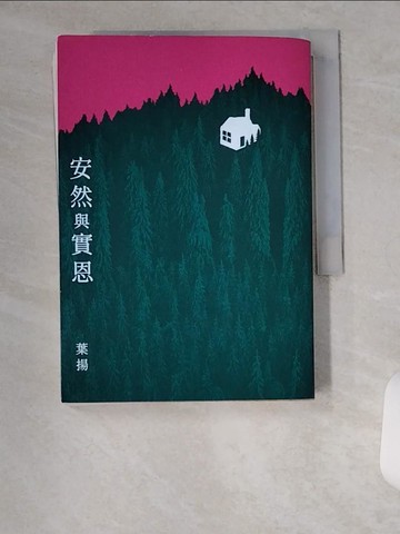 【書寶二手書T3／一般小說_U6G】安然與實恩_葉揚