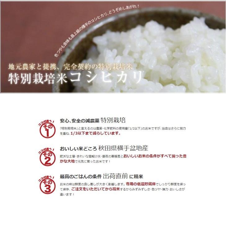 令和5年産 秋田 コシヒカリ 白米 精米済 5kg 愛和自然農法研究会 減農薬 減化学肥料 送料無料