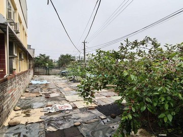 霧峰中投vs烏日交界好規劃百坪建地｜台中市霧峰區五福北段