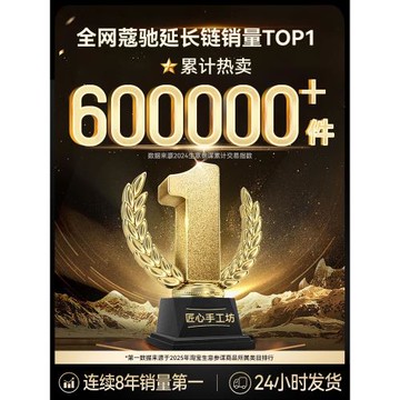 匠心手工坊適用于coach蔻馳teri延長鏈麻將包腋下包鏈條肩帶配件