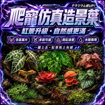 🔥現貨🔥仿真多肉 飼養箱造景 仿真植物 生態雨林裝飾 魚缸造景植物 爬蟲造景 爬箱布置 水族造景 樹棲造景 龜缸造景