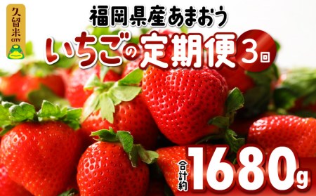 先行予約！『いちごの定期便』福岡県産　あまおう　合計約１６８０ｇ（約２８０ ｇ×２パックを２月３月４月の３回）　 ２０２４年２月より順次発送_Fi051