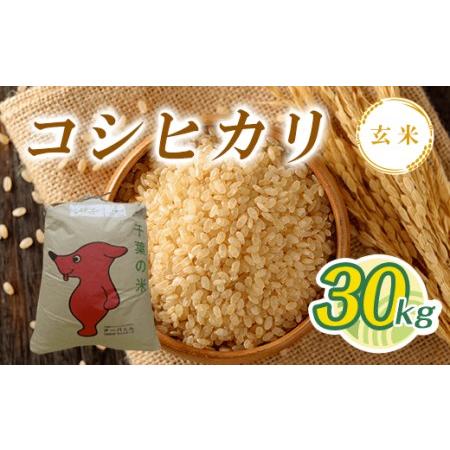 ふるさと納税 T03501令和5年産 コシヒカリ玄米 30kg 千葉県大多喜町